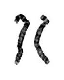 Wolf-Hirschhorn syndrome karyotype