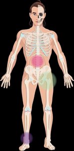 Wavy, interlocking edges of sutures