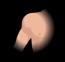 Synovial joint with bursae, tendon sheath, fatty pad, and meniscus