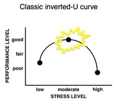 Classic inverted-U curve showing optimal performance at moderate stress