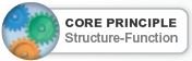 Core principle: Structure-function