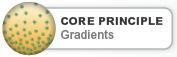 Core principle: Gradients