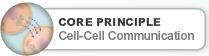 Core principle: Cell-cell communication