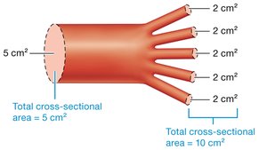 Diagram showing cross-sectional area and velocity