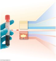 Blood fractionation and composition