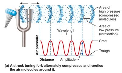 Sound wave propagation from a tuning fork