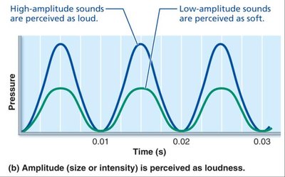 Amplitude is perceived as loudness