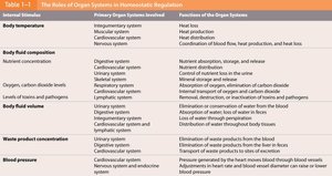 Table: Roles of organ systems in homeostatic regulation