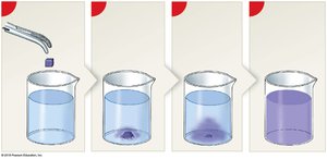 Diffusion of a solute in water