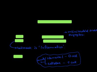 Diagram of innate and adaptive immune system branches