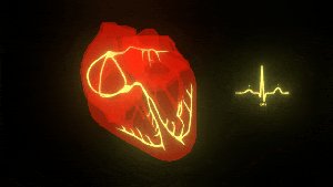 ECG sequence showing depolarization and repolarization