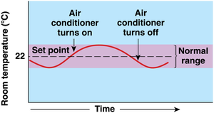 Diagram of homeostatic regulation