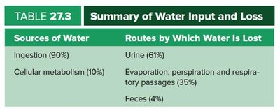 Table of water input and loss