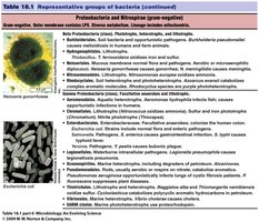Table of Proteobacteria and Nitrospirae