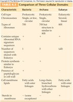 Comparison of Three Cellular Domains table