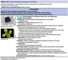Table of Crenarchaeota