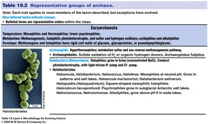 Table of Crenarchaeota