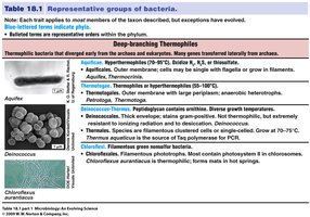 Table of Deep-branching Thermophiles
