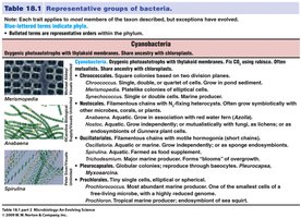 Table of Cyanobacteria