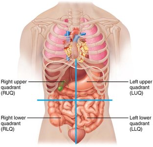 Abdominopelvic quadrants
