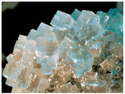 Photo of sodium chloride crystals