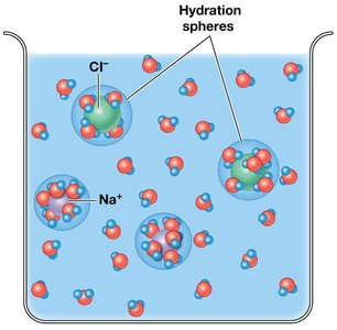 Hydration spheres around ions in solution