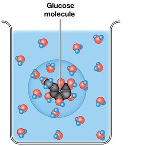 Hydration spheres around glucose in solution