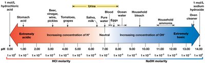 The pH scale