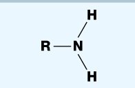 Amino group structural formula