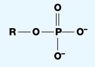 Phosphate group structural formula