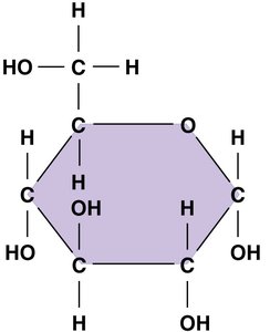 Ring form of glucose