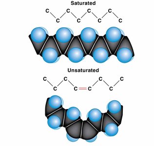 Saturated vs. unsaturated fatty acids