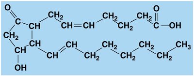 Prostaglandin structure