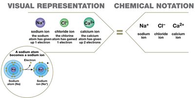 Chemical notation for ions