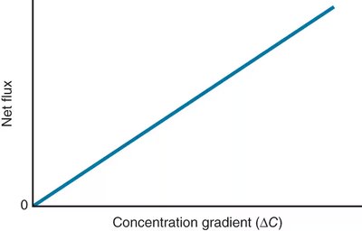 Net flux proportional to concentration gradient