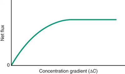 Saturation of facilitated diffusion carriers