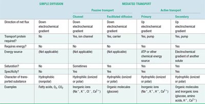 Comparison table of transport mechanisms