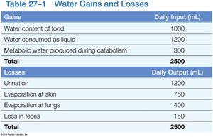 Table of water gains and losses