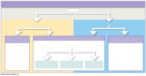 Major buffer systems in body fluids