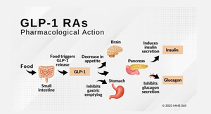 GLP-1 receptor agonist pharmacological action