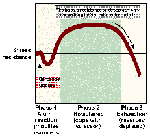 General adaptation syndrome stages