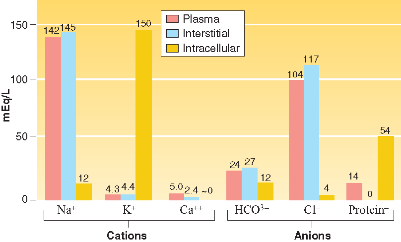 Electrolytes Found in Fluid Compartments of the Body
