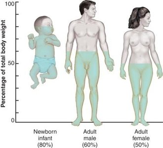 Water in the Body: Percentage of Total Body Weight
