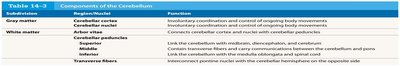 Table: Components of the Cerebellum