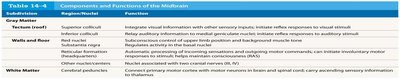 Table: Components and Functions of the Midbrain
