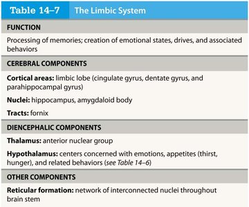 Table: The Limbic System