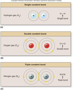 Single, double, and triple covalent bonds