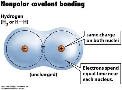 Nonpolar covalent bonding in hydrogen