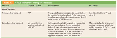 Active membrane transport processes table