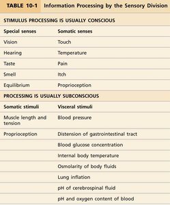 Table of sensory information processing